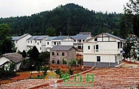 宅基地退出又来新玩法！每亩最少能得16万元，想退的抓紧了！