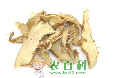 知母的优质高产栽培技术