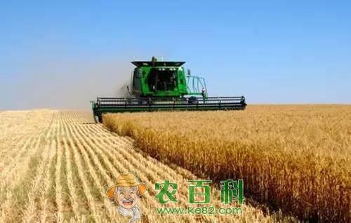 未来2年，农村这3大行业迎来春天，2类农民很吃香，现在还不晚！