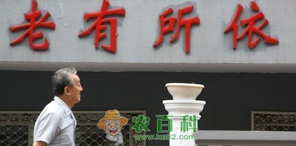 农村养老保险，怎么交？交多少？补多少？领多少？