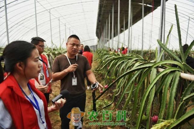 未来2年，农村这3大行业迎来春天，2类农民很吃香，现在还不晚！
