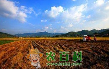 农村土地方面3大骗局，农民一定多个心眼，避免上当受骗！