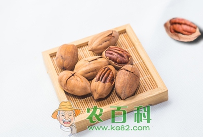 碧根果原产地在美国和墨西哥 中国长江下游地区有栽培