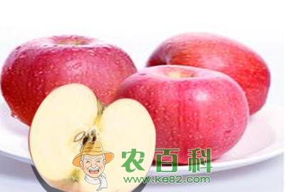 苹果原产地在土耳其东部 中美法意等国是主要苹果产地