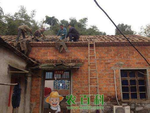 农村这几种人抓紧回农村盖房子吧!国家给补贴,再不抓紧就晚了!