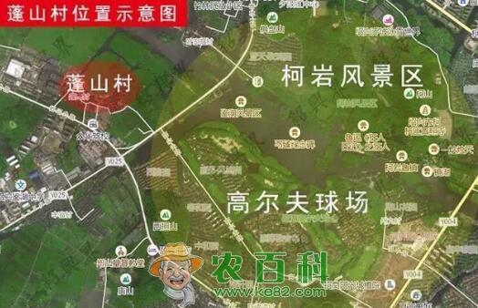 最新绍兴市柯岩街道蓬山村地块城中村改造工程房屋拆迁征收补偿安置方案（附补偿标准）