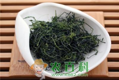 家种绞股蓝的栽培技术