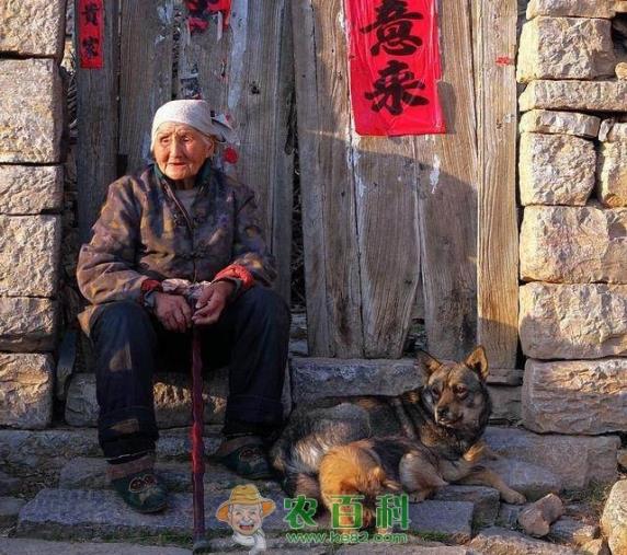 农村人说“爹矬矬一个，娘矬矬一窝”，你们认为有道理吗？