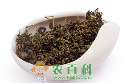 家种绞股蓝的栽培技术