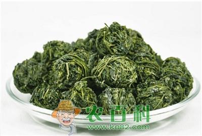 家种绞股蓝的栽培技术
