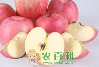 苹果原产地在土耳其东部 中美法意等国是主要苹果产地