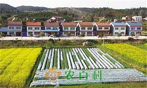 宅基地退出又来新玩法！每亩最少能得16万元，想退的抓紧了！