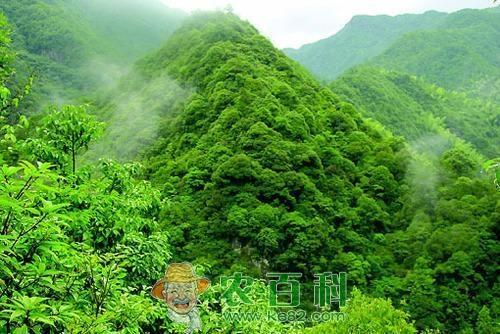 这项补贴知道的农民很少，但每户都能领得到！