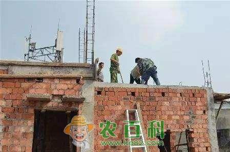 为啥不允许农民随意建房？专家说了4点原因很靠谱，你同意吗？