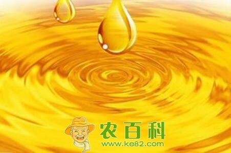 2017双节临近菜油需求强劲 菜油价格行情延续反弹