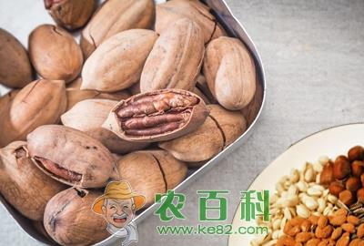 碧根果原产地在美国和墨西哥 中国长江下游地区有栽培