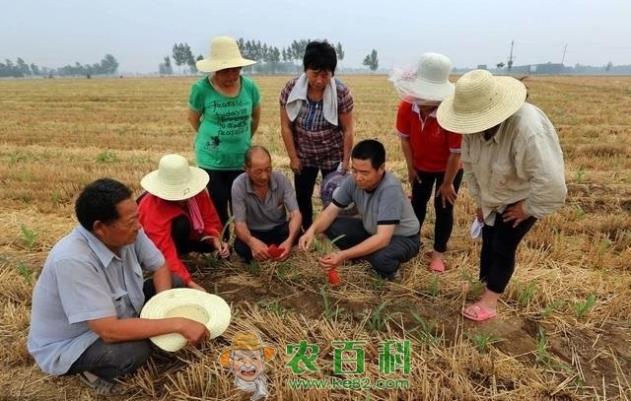未来2年，农村这3大行业迎来春天，2类农民很吃香，现在还不晚！