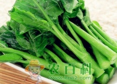 芥蓝无公害高效栽培技术（芥蓝怎么种植最好）