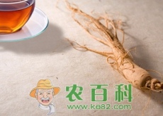 “百草之王”人参优质产地集中在我国东北三省