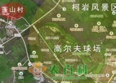 最新绍兴市柯岩街道