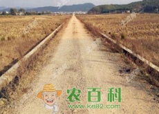 土地确权时，村干部留一部分土地不确权（这合理吗）