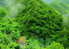 这项补贴知道的农民很少（但每户都能领得到）