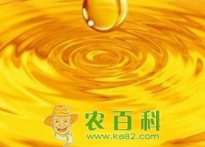 双节临近菜油需求强劲(菜油价格行情延续反弹)