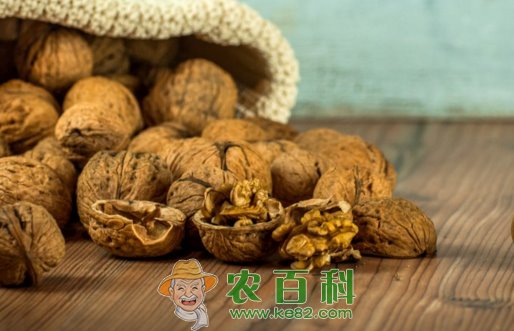 巫溪县关于加快核桃产业发展的实施意见的通知