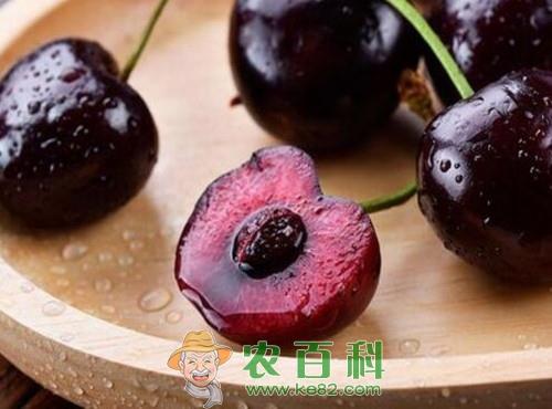 车厘子要几年挂果?亩产多少斤?有哪些功效及作用?(附种植方法)