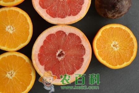 柑橘属橙子、红心柚子、西柚一般几月份成熟上市？它们有什么区别？