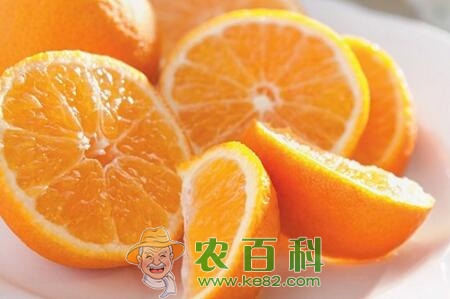 柑橘属橙子、红心柚子、西柚一般几月份成熟上市？它们有什么区别？