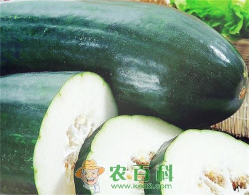 冬瓜多少钱一斤?种一亩大约赚多少钱?
