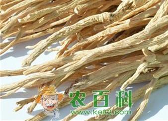 山东气候跟地形适合种植什么中药材?