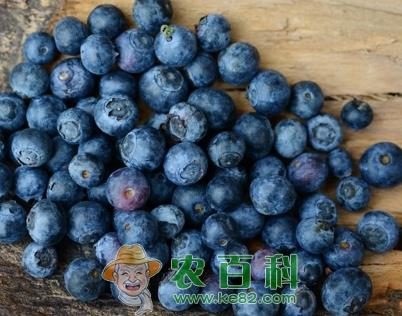 蓝莓一般几月份成熟上市？什么时候吃最好？多少钱一斤？