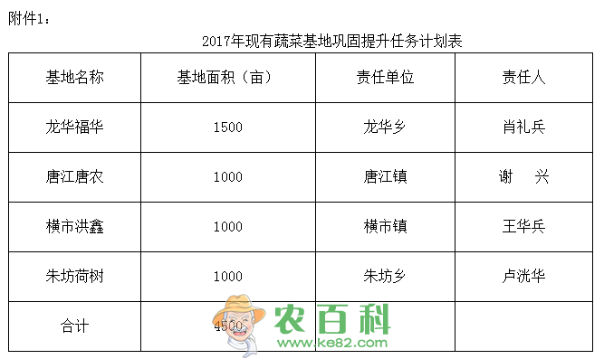 赣州市南康区2019年蔬菜产业发展实施方案
