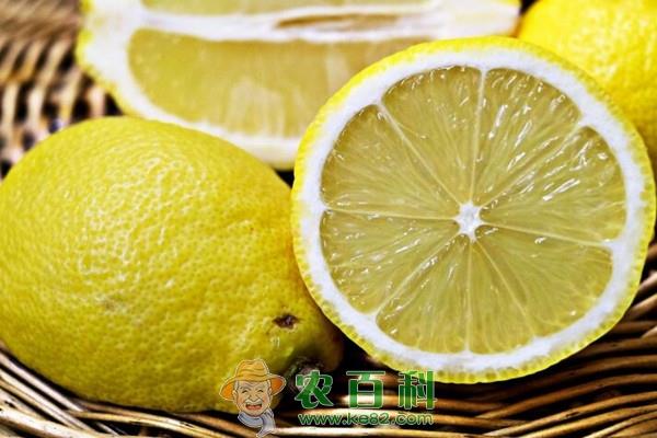 柠檬皮能吃吗?怎么吃?有什么功效与作用?