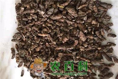 重楼价格是多少钱一斤？有哪些功效与作用？