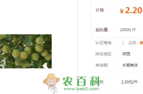 青皮核桃价格多少钱一斤？什么时候成熟？药用价值有哪些？