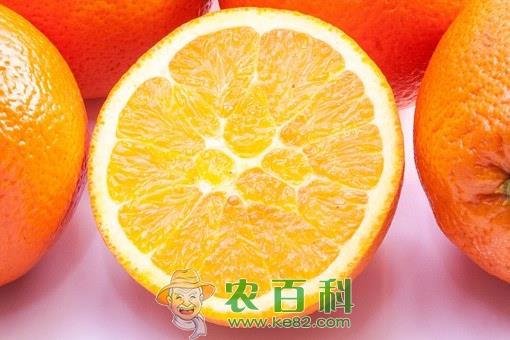 橙子