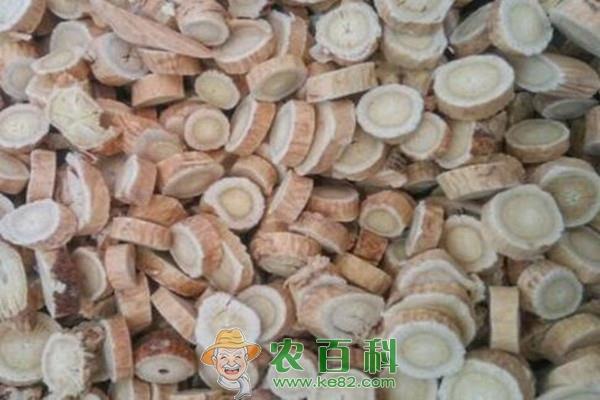 现在种植什么药材最赚钱?市场价格行情如何?