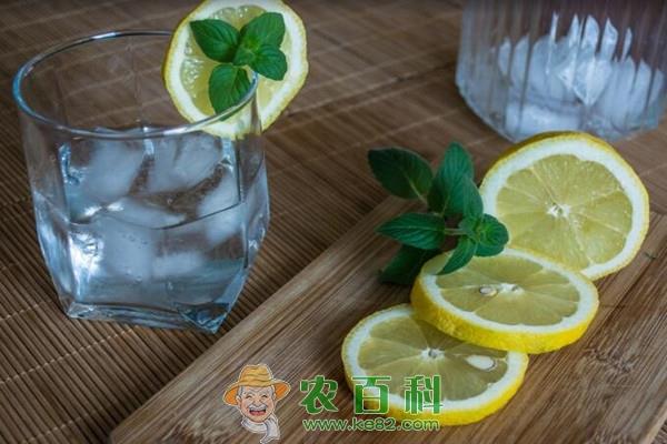 柠檬皮能吃吗?怎么吃?有什么功效与作用?