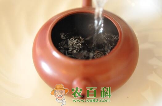 春天适合喝什么茶？喝哪些茶养生？你的茶喝对了吗？