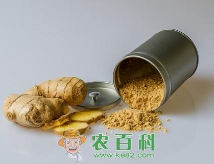 常见调味品生姜什么时候种植最好？最佳收获期是几月？