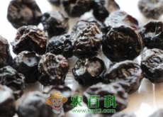 蓝莓干多少钱一斤（有哪些功效与作用）
