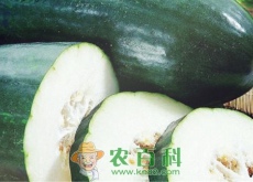 冬瓜多少钱一斤？