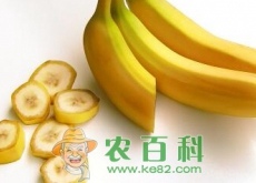 香蕉什么时候能收获？需要种多久（附最新行情）