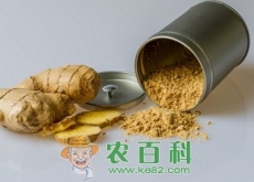 常见调味品生姜什么时候种植最好？