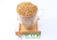 荞麦茶多少钱一斤？