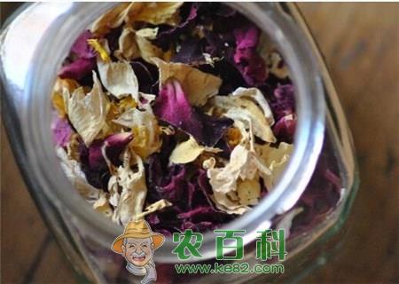 种植食用玫瑰前景如何?能赚钱吗?(附种植技术)