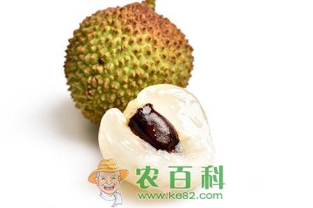 荔枝核多少钱一斤？能吃吗？功效与作用？